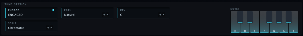 The TUNE station